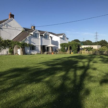 Brynawel Farm B&B Pontlliw Bagian luar foto
