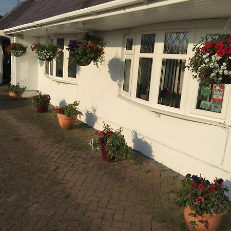 Brynawel Farm B&B Pontlliw Bagian luar foto