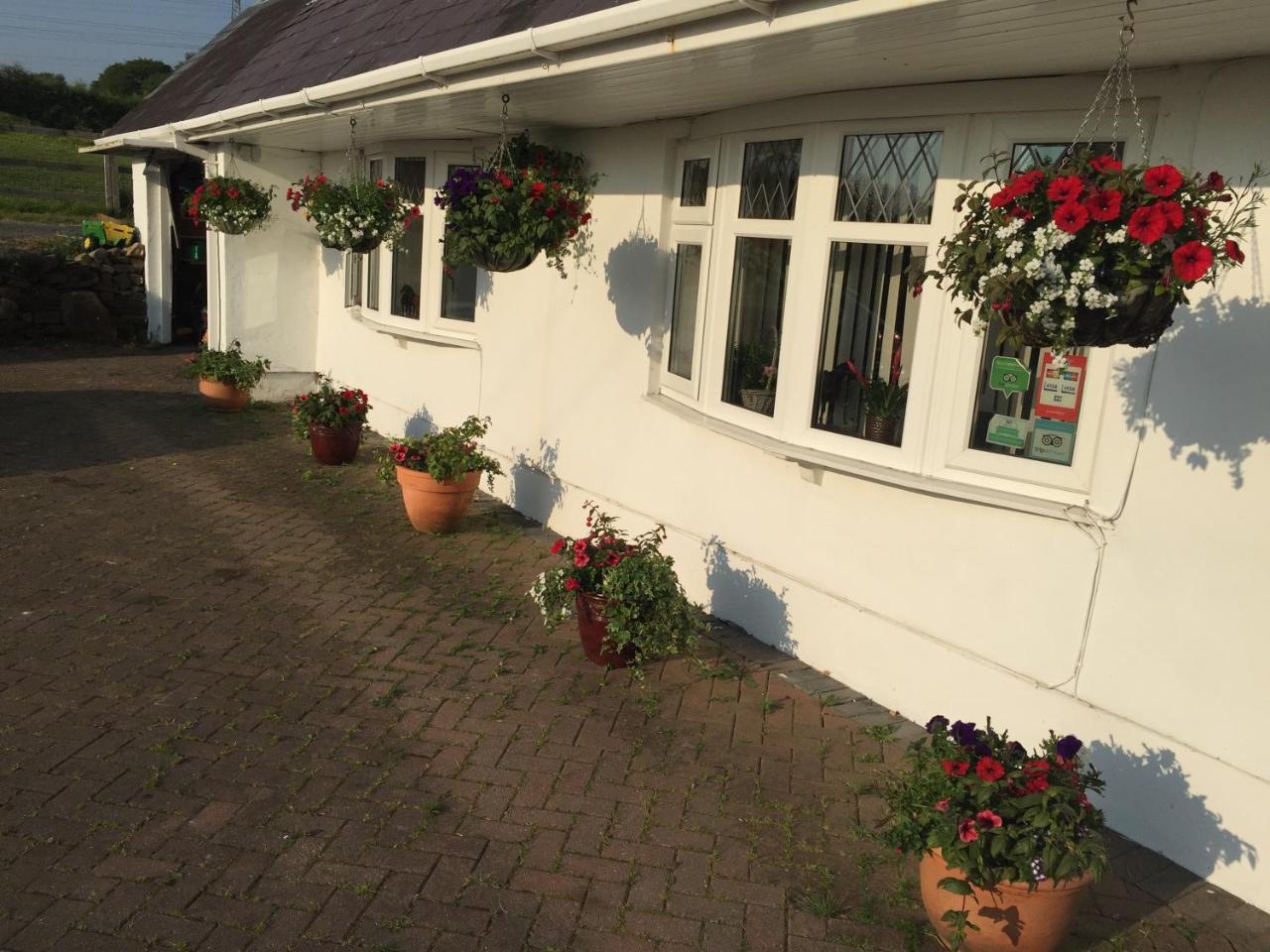 Brynawel Farm B&B Pontlliw Bagian luar foto